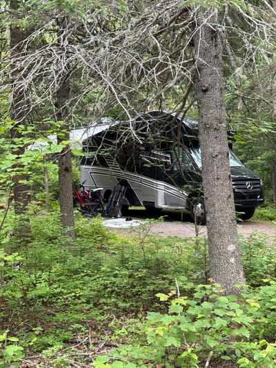 The image shows a black Mercedes-Benz camper van parked next to a large RV in a wooded area. The vehicles are parked on a dirt road or path, surrounded by lush green foliage and tall trees. A thick tree trunk runs horizontally across the foreground, partially obscuring the view of the vehicles.
Several bicycles are leaned against the RV, suggesting an outdoor recreational activity. The scene appears to be set during the daytime, with diffused light filtering through the trees, indicating potentially overcast weather or a densely wooded area. The overall atmosphere is serene and suggests a campsite or a quiet natural setting. No people are visible in the image. There is no visible text in the image.