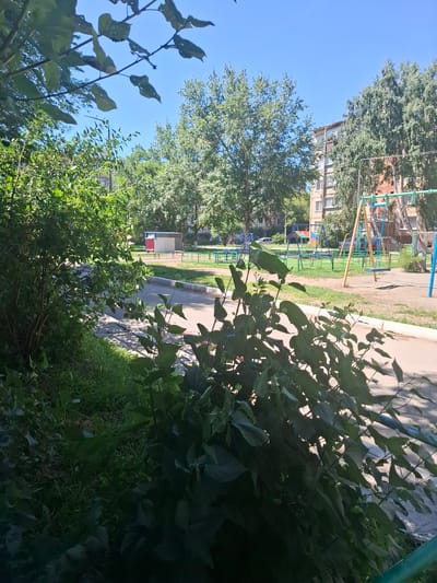 The image depicts a courtyard in the city of Jitiqara, Kazakhstan on a clear, sunny day. In the foreground, leafy green bushes and trees partially obscure the view. Beyond the vegetation, a paved walkway or road runs through the courtyard. In the midground and background, a children's playground is visible, featuring swings, a slide, and colorful play structures. Apartment buildings, typical of Soviet-era architecture, are situated behind the playground, surrounded by tall deciduous trees. The sky is a bright, cloudless blue. There are no people or animals visible in the scene.