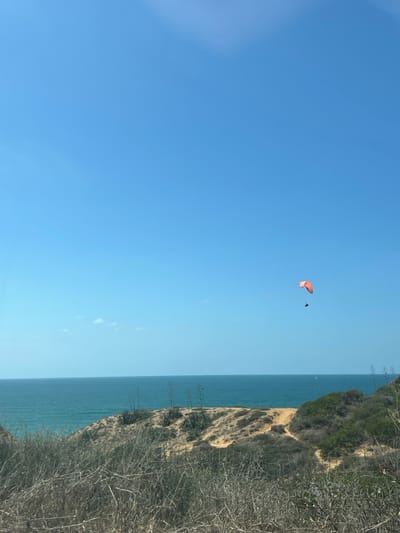 This image depicts a coastal landscape in Gaash, Israel, under a clear, bright blue sky. A solitary paraglider with a prominent orange-red canopy is airborne in the upper right quadrant, featuring a dark-clad pilot suspended beneath. The calm, turquoise Mediterranean Sea extends across the middle ground, meeting a line of sandy cliffs. These cliffs are sparsely covered with dry, brown, and green scrub vegetation, interspersed with taller, stalked agave-like plants. The immediate foreground is dominated by dense, dry, straw-colored vegetation. A faint, wispy cloud is visible in the upper left sky. A small, distant object, possibly a boat, is present on the sea surface towards the right. The scene is illuminated by direct daylight.