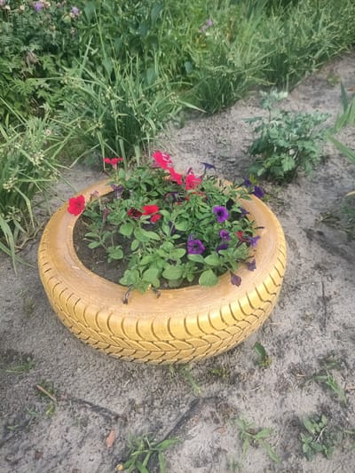 The image shows a tire repurposed as a planter, filled with red and purple petunias. The tire is painted yellow and sits on sandy soil in an outdoor setting. In the background, there is lush green foliage, suggesting a garden or natural area. The lighting indicates it is daytime, and the scene appears to be a rustic or rural environment, consistent with the location context of Velyka Dymerka, Ukraine. There is no visible text in the image.