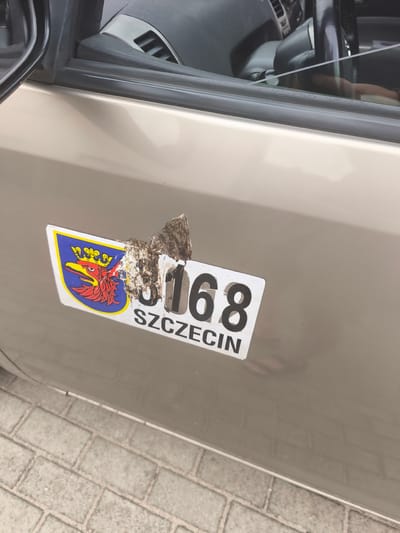 The image shows a close-up of a car door with a sticker. The sticker features a crest with a red griffin and a crown on a blue background, along with the number "3168" and the word "SZCZECIN" below it. Part of the sticker is damaged, with what appears to be bird droppings obscuring some of the details. The car is a light beige color and the background shows a cobblestone pavement. The interior of the car is partially visible through the open door, revealing a steering wheel and dashboard. The lighting suggests it is daytime, and the weather appears to be clear. The scene is set in Mierzyn, Poland. There are no people visible in the image. The overall impression is one of an everyday urban or suburban setting.