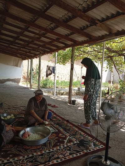 Two women are preparing food outdoors, under a simple, open-sided structure with a corrugated roof supported by wooden beams. The ground is concrete, covered in part by a colorful, patterned rug. The woman in the foreground, wearing a headscarf and a brown top, is seated on the rug and actively chopping onions on a wooden cutting board placed inside a metal basin. Another large metal basin to her right contains chopped onions and pieces of raw meat. A third person's hands, wearing a patterned garment, are visible in the lower left corner, also engaged in food preparation.
In the background, a second woman stands wearing a dark green hijab and a patterned dress. She appears to be holding a small item in her hand, possibly a utensil or ingredient. Behind her, a wall constructed of mud bricks or adobe is visible, with laundry hanging on a line. Lush green foliage from a grapevine drapes overhead, providing shade. To the right of the frame, a large black oscillating fan stands on a stand, its blades visible. The overall environment suggests a rural or semi-rural setting. Given the context of Hisor, Tajikistan, this scene likely depicts a common practice of food preparation in a residential courtyard, utilizing outdoor space for such activities.