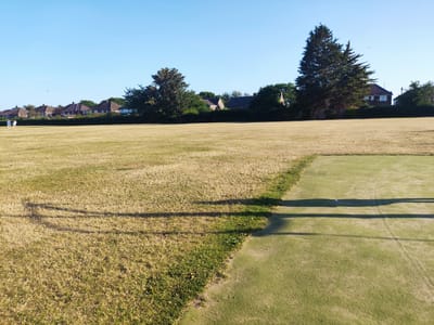 In Melling, United Kingdom, a sun-drenched outdoor scene unfolds with a vast expanse of dry, yellowed grass dominating the foreground and middle ground. The grass is interspersed with patches of greener growth, particularly along the edge where it meets a strip of artificial green turf, likely a sports pitch. This turf strip runs diagonally across the lower right portion of the image. Long, dark shadows stretch across the dry grass, indicating a clear sky and a strong sun from the left. Two indistinct figures, possibly people, are visible in the far left middle ground, walking across the dry field. In the background, a row of residential houses with pitched roofs are nestled behind a line of trees and a hedge. A large, dark green conifer tree stands prominently on the right side of the background, with other trees and foliage scattered throughout. The sky above is a clear, bright blue.