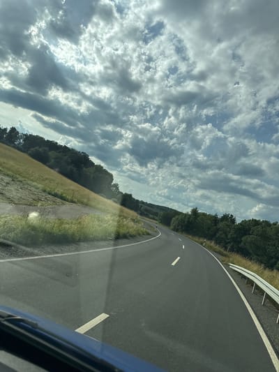 An eye-level shot captures a winding road in the vicinity of Niederwetz, Germany. The road, paved with asphalt and marked with white lines, curves to the right. To the left of the road, a grassy slope rises, dotted with tall green and yellow grasses. Beyond the slope, a line of dense green trees forms a backdrop. The sky above is a dramatic expanse of gray and white clouds, with patches of blue sky peeking through. The sun's rays pierce through the clouds, creating bright highlights. The lower part of the image shows the hood and windshield of a vehicle, indicating the photo was taken from inside a car.