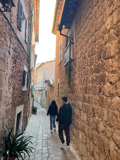 The image captures a narrow, stone-paved alleyway within the city of Fornalutx, Spain. Two individuals are observed walking away from the viewer, descending the alley. The person closer to the right, appearing male, wears a dark jacket with a light-colored emblem on the back, dark trousers, and white athletic shoes. The second individual, slightly further behind and to the left, appearing female, wears a dark puffer jacket, light blue jeans, and white athletic shoes.
The alley is flanked by multi-story buildings constructed from rough-hewn, tan-to-orange stone blocks. Both structures exhibit terracotta roof tiles, dark green rain gutters, and windows equipped with dark wooden shutters. A small, dark-colored balcony railing is affixed to a window on the building to the right. Electrical conduits and wires are visible running along the facade of the left building, which also features a dark-colored wall lantern in the upper portion. The stone-paved street appears to be wet or reflective. In the immediate foreground on the left, a potted plant with long, green spiky leaves is visible. Another smaller potted plant is situated further down the alley on the left. The alley descends and subtly curves in the distance, revealing additional buildings and a bright, overcast sky overhead.