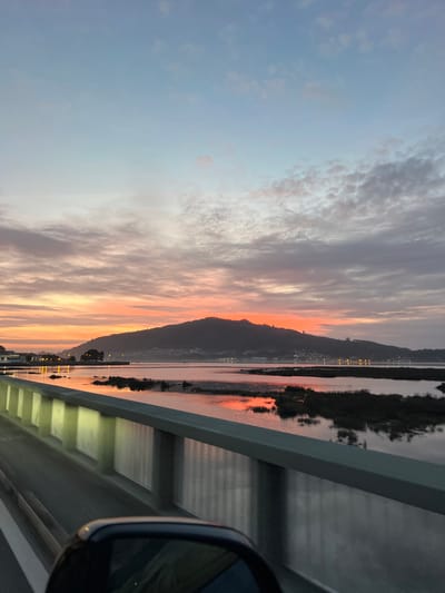 This image depicts a sunset or sunrise over the Minho River estuary in Caminha, Portugal, as viewed from a vehicle on a bridge.
The sky occupies the upper two-thirds of the frame, transitioning from a pale blue at the zenith to an intense gradient of orange, pink, and grey clouds near the horizon. Stratocumulus cloud formations are visible, particularly in the lower sky, reflecting the sun's low-angle light.
A prominent, dark-silhouetted mountain, consistent with Monte de Santa Tecla, stretches across the central horizon, its rugged profile contrasting with the brightly colored sky. Along the base of this mountain and across the water on the distant shore, scattered points of artificial light from a town, likely Caminha, are visible.
The middle ground features a calm body of water, the Minho River estuary, which vividly reflects the orange and pink hues of the sky. Irregular patches of dark, marshy vegetation or small islands are interspersed within the water, creating dark outlines against the reflective surface.
In the foreground, the light-colored concrete or painted metal railing of a bridge runs diagonally from the lower right towards the middle left, featuring a series of vertical support structures. The vehicle's asphalt roadway, marked with a white lane line, is visible to the left of the railing. The black housing and reflective surface of a vehicle's passenger-side mirror are present in the extreme bottom-right corner, indicating the image was captured from inside a moving vehicle. No individuals or specific actions are discernible.