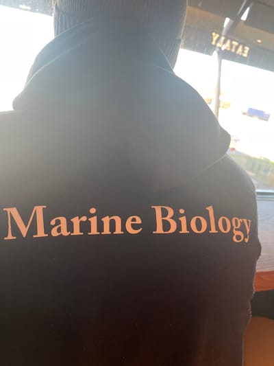 An image, rotated 90 degrees counter-clockwise, shows the back of a person wearing a dark hoodie or sweatshirt. The person is positioned indoors, next to a brightly lit window, with the light source creating significant glare and overexposure in the background. The fabric of the garment shows some minor pilling.
The primary subject is the person's back and upper shoulder, partially obscured by light. On the back of the hoodie, running vertically (when the image is viewed with the text upright), is the phrase "Marine Biology" in a light, possibly copper or peach-colored, sans-serif font.
The setting appears to be a well-lit interior, possibly a cafe or public space, given the large window. Through the overexposed window, a faint, reversed reflection of the word "EATALY" is visible, indicating a commercial establishment. The bright light suggests it is daytime, likely sunny weather outside. No specific activity is discernable other than the person being present in the space. The overall mood is quiet and still.