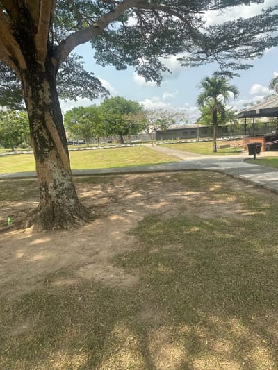 The image depicts an outdoor recreational or park-like area in Ozuaha, Nigeria, under a partially cloudy blue sky during daylight hours. In the immediate foreground, a large tree with textured, mottled bark and visible root flares occupies the left side, casting shadows across the ground. A small, light green plastic bottle is visible near the base of this tree. The ground consists of patches of dry, light brown soil and sparse green grass.
Moving into the midground, a light-colored paved pathway, possibly concrete, curves from the center-right towards the left and then towards the background. This pathway delineates an expanse of manicured green lawn. Along the far edge of the lawn, a low barrier or wall, painted white on top and dark grey or black below, runs horizontally.
In the background, beyond the barrier, several trees with dense green foliage are visible. Further to the right, a long, low-slung building with grey walls and a dark roof, likely corrugated metal, is partially obscured by trees and appears to be within a fenced area. To the right of this building, several palm trees stand tall. Closer to the foreground on the right, a covered outdoor structure with a dark, sloped roof supported by vertical posts is present, with a dark-colored refuse bin or planter situated beneath it. The scene is devoid of human activity or explicit interactions.