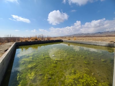 A rectangular concrete pool filled with green, algae-covered water dominates the foreground. Dry vegetation surrounds the pool's edge, transitioning into a vast, flat landscape with distant mountains under a blue sky dotted with fluffy white clouds. The reflection of the sky and clouds is visible on the pool's surface, adding depth to the image.