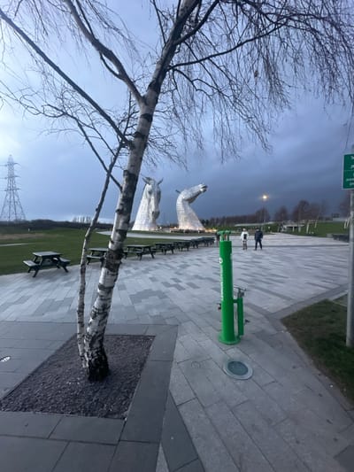 The image depicts an outdoor scene at The Kelpies in The Helix, Falkirk, United Kingdom, under an overcast sky, suggesting dusk or early evening. Two monumental equine head sculptures, known as The Kelpies, dominate the mid-ground, illuminated by artificial lights. These sculptures are constructed from reflective metallic panels and feature intricate detailing.
In the immediate foreground, a multi-trunked birch tree with bare branches and distinctive white, peeling bark is centrally positioned, growing from a dark gravel bed within a paved area. To the right of the tree, a bright green cylindrical public utility station, labeled "GRASSHOPPER," stands upright, equipped with two attached pumps or tools. The ground surface is composed of a patterned arrangement of rectangular grey pavers.
To the left of the paved plaza, a large grassy expanse features multiple dark-colored wooden picnic tables arranged in rows. In the mid-ground, on the paved plaza, two individuals are walking from left to right. One person wears a light-colored jacket, and the other wears a dark jacket.
In the background, a tall metal lattice electricity pylon is visible on the far left, extending above the treeline. A line of bare deciduous trees stretches across the horizon, with streetlights visible further back. A partial white sign with green elements is present on the far right edge of the frame. The overall environment appears to be a landscaped park area with a mix of natural and built elements.