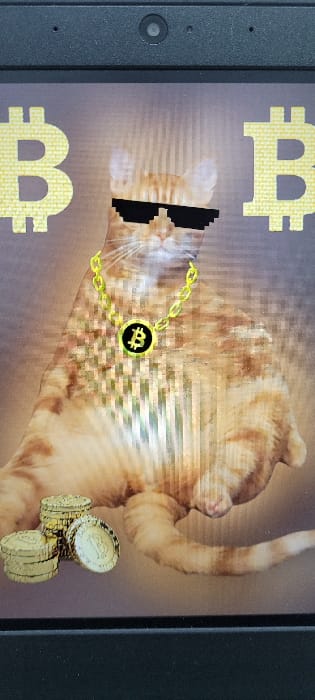 This is a photograph of an electronic screen, likely a laptop or tablet, displaying a digital image of an anthropomorphic orange tabby cat. The screen is oriented vertically, causing the cat image to appear rotated clockwise in the photograph.

The cat is depicted wearing pixelated black sunglasses and a gold-colored chain with a prominent black circular pendant featuring the Bitcoin symbol. One of the cat's paws or arms is raised towards the top right of the screen. The digital artwork incorporates large, faded yellow Bitcoin symbols in the background, positioned above and below the cat. In the bottom right corner of the displayed image, there is a stack of gold-colored coins, each embossed with the Bitcoin symbol. The overall aesthetic of the displayed image includes horizontal lines and a pixelated, somewhat glitchy effect, particularly noticeable in the background and parts of the cat's fur.

The dark gray bezel of the electronic device is visible on the left and right sides of the frame. On the left bezel, a small circular camera lens and a smaller dot, likely a sensor or microphone, are clearly visible. No alphanumeric text is present, but the stylized Bitcoin symbol (₿) is a recurring visual motif throughout the digital image.