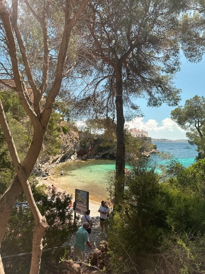 Captured from an elevated perspective and tilted, the image presents a beach in Peguera, Spain. Lush vegetation frames the scene on both sides. A large tree dominates the left side of the frame, with its branches partially obscuring the view. The beach itself is a mix of sand and pebbles, with people scattered across the shoreline. The water is clear and turquoise. In the distance, buildings can be seen on a rocky outcropping along the coast. Near the right side, several individuals are gathered near a sign or information board, with one person gesturing. The overall setting is a natural, coastal landscape.