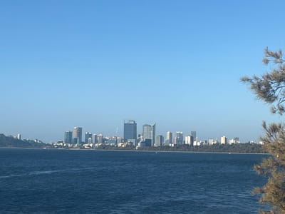 The image displays a panoramic view across a body of water towards a distant city skyline, likely taken from Applecross, Australia. The scene is dominated by a clear, bright blue sky occupying the upper half of the frame. Below, a wide expanse of deep blue water, showing minor surface ripples, stretches across the mid-ground. On the far shore, a dense urban skyline features numerous high-rise buildings, mostly light-colored, varying in height and design, indicating a major city. A prominent construction crane is visible near a tall building in the central-right portion of the skyline. A strip of green foliage, consisting of trees, lines the distant shoreline, separating the water from the base of the buildings in several sections. To the far left, land masses with some elevation are visible. In the extreme right foreground, a portion of a tree with sparse, brownish-green, needle-like foliage and branches partially frames the scene. No individuals or explicit actions are discernible.