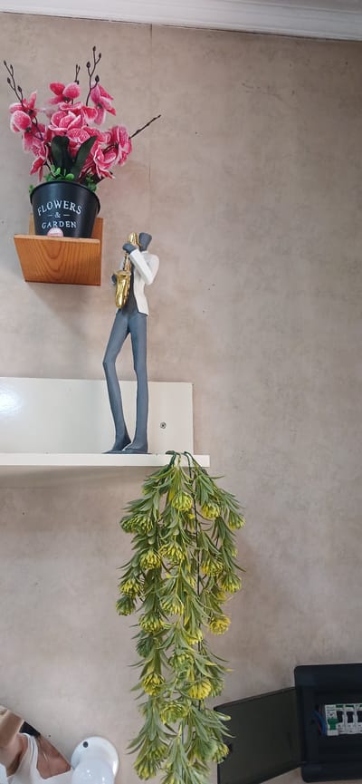 This image depicts an indoor scene, possibly a home or shop, located in Ganja City, Azerbaijan. The foreground features a decorative figurine of a person playing a saxophone, with the instrument rendered in gold and the figure in grey and white. The figurine stands on a white shelf. Above this shelf, another shelf holds a black pot containing artificial pink flowers. The background wall is a neutral, textured surface. To the right and slightly lower than the saxophone figurine, a long, cascading artificial plant with green and yellow foliage hangs down. In the lower right corner, a black electrical box with circuit breakers is visible. The lighting appears to be artificial, creating a soft illumination throughout the space. There are no visible people actively engaged in the scene, though a partial view of a person's shoulder and chest wearing a white top is present on the far left, near a light fixture.