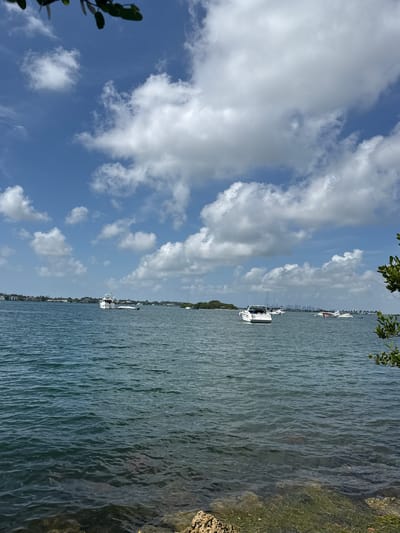 A scenic water view captures a bright, cloudy day with a clear blue sky. The water is a deep blue-green, with gentle ripples creating a textured surface. Along the right edge of the image, a rocky shoreline is visible, covered in patches of green grass and some scattered rocks. In the distance, a line of buildings and trees suggests a coastal urban or suburban environment.
Several white boats are dotted across the water. One prominent boat, a sleek white motor yacht, is positioned in the mid-ground, facing towards the left of the frame. Its windows are visible, and it appears to be stationary. Other smaller boats and a larger white vessel are also present, further out on the water, with some masts indicating sailboats. The overall scene evokes a sense of leisure and a pleasant outdoor day. The lighting suggests it is daytime, likely late morning or early afternoon, given the brightness of the sky and the way the light reflects off the water. There is no visible text in the image.