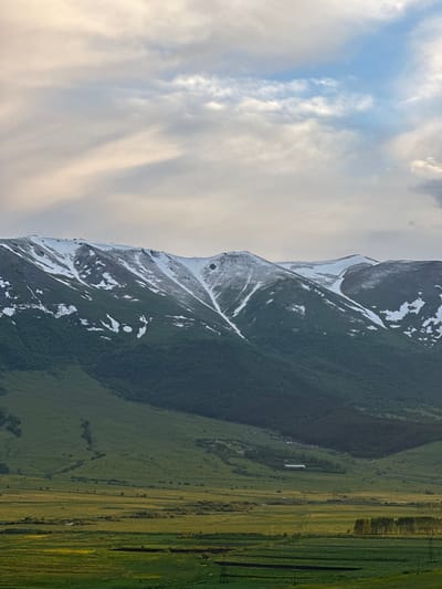 The image depicts a panoramic view of the landscape surrounding Fioletovo, Armenia. In the foreground, a vast expanse of green fields stretches out, with patches of yellow flowers adding color. A line of trees stands to the right, bordering the fields. In the midground, rolling hills covered in lush green vegetation are visible, with scattered trees and a few small buildings nestled within the landscape. The background is dominated by a majestic mountain range, its peaks still capped with snow, contrasting with the dark green forests that cloak its lower slopes. The sky above is a mix of soft white and light blue clouds, with streaks of pale orange suggesting the warm light of either sunrise or sunset. The scene conveys a sense of serene natural beauty, characteristic of the Armenian highlands.