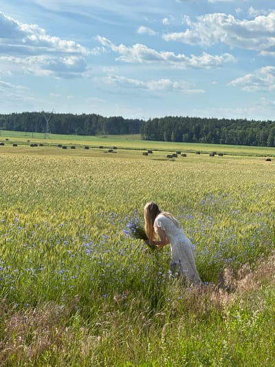 A young woman in a white, floral-patterned dress is bending down in a field of tall grass and wildflowers. She has long, blonde hair and appears to be gathering a bouquet of the purple wildflowers. The field is lush and green, with scattered patches of purple flowers throughout. Behind the field of flowers, there is a field of golden wheat, and beyond that, a dense line of dark green trees. The sky above is a bright blue, dotted with fluffy white clouds. In the distance, there are some dark, round shapes that appear to be hay bales. A power line tower is also visible near the treeline. The scene suggests a warm, sunny day, possibly late afternoon or early evening due to the soft lighting. The overall atmosphere is peaceful and idyllic, evoking a sense of natural beauty and simple enjoyment. The location is identified as Parycki Rural Council, Belarus. There is no visible text in the image.