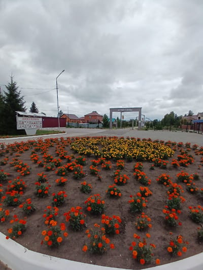 In Prokudskoye, Russia, a wide-angle, eye-level shot captures a cloudy day scene with a prominent flower bed in the foreground and a gateway in the background. The flower bed is densely packed with marigolds, a mix of vibrant orange and yellow blooms, arranged in a circular formation. Behind the flowers, a paved pathway leads to a large, grey archway with "АЛЛЕЯ СЛАВЫ" (Alley of Glory) inscribed in white capital letters. To the left of the archway, a bulletin board, identified as "ДОСКА ПОЧЕТА" (Honor Board), displays several framed photographs of individuals. A tall evergreen tree stands to the far left, partially obscuring the bulletin board and a nearby building with a red roof. A streetlamp is visible to the right of the evergreen tree. In the background, several houses with pitched roofs and fences are scattered across the landscape. The sky is overcast with thick grey clouds, suggesting a cool, possibly damp, atmosphere. The scene appears to be a public space, possibly a park or memorial area, within the town.