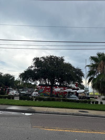 In Palmetto, Florida, on a cloudy day, a street scene unfolds. In the foreground, asphalt pavement with a yellow broken line is visible, with a section of curb and grass to its right. Beyond the grass, a row of bushes separates the road from a paved area where several cars are parked. A large, mature tree with dark green foliage dominates the mid-ground, casting a shadow. Behind the tree, a building with a colorful mural depicting tropical scenes and a retro aesthetic is partially visible. The mural features bold red and yellow colors and cartoonish illustrations. Several white outdoor umbrellas are set up in front of the building, suggesting an outdoor seating area. Beyond this, more trees and palm trees can be seen, along with a glimpse of a building with a yellow roof in the distance, possibly a fast-food establishment. Overhead, power lines stretch across the frame, and a flagpole stands tall without a flag. The sky is overcast with gray clouds, creating a subdued lighting condition.