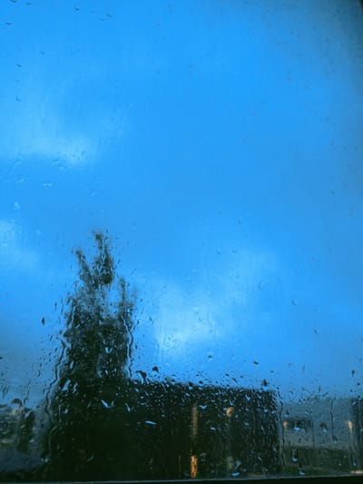 The image captures a view through a window pane covered in water droplets, looking out onto a cityscape under a deep blue sky, likely at dusk or during overcast weather. The foreground is dominated by the textured surface of the glass, with numerous raindrops distorting the view of the scene beyond. In the mid-ground, the silhouette of a large tree with dark foliage is visible, its branches appearing somewhat indistinct due to the rain. Behind the tree, the shapes of buildings are discernible, some with faint lights suggesting interior illumination. The overall atmosphere is somber and moody, characteristic of a rainy day. The location is identified as Peetri alevik, Estonia. There are no people or discernible actions in the image.