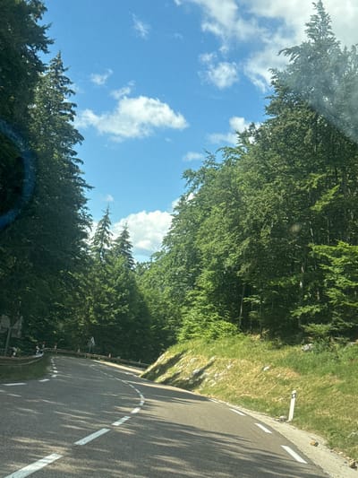 The image depicts a winding asphalt road bordered by lush green trees on both sides. The road has white dashed lines indicating lanes. The sky is blue with scattered white clouds. The environment appears to be a mountainous or hilly region, suggesting a scenic route. There are no visible people in the image. The time of day appears to be daytime, indicated by the bright sunlight casting shadows on the road. The scene is set in Longchaumois, France.