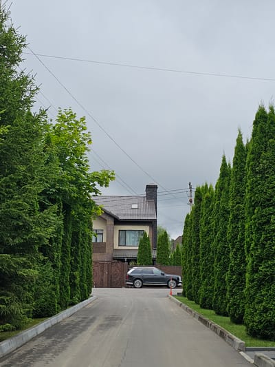 A paved driveway lined with tall, manicured green thuja trees leads towards a two-story house in the village of Русь Дпк, Russia. The house has a dark tiled roof, beige walls, and brick accents. A dark-colored SUV is parked in front of a decorative brown metal gate that encloses the property. Electrical wires are visible overhead against a cloudy sky.