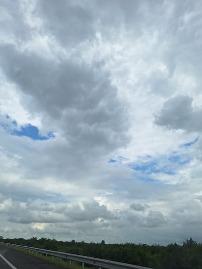 The image depicts a roadside view with a cloudy sky overhead. The foreground features an asphalt road with a white line marking the lane. A metal guardrail runs along the edge of the road. Beyond the road, a dense line of green trees forms the horizon. The sky is filled with a mix of grey and white clouds, with patches of blue sky visible in between. The scene appears to be a natural landscape, possibly in a rural or suburban area, given the presence of trees and the absence of urban structures. The lighting suggests it is daytime, but the cloud cover creates a somewhat muted atmosphere.