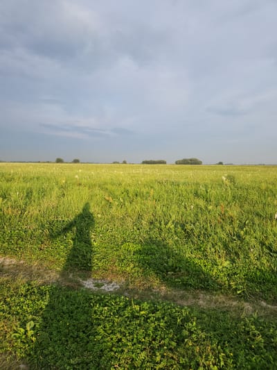 The image shows a vast, green grassy field with a dirt path running through it. The sky above is partly cloudy, with a mix of blue sky and white clouds. The sun is low in the sky, casting long shadows across the field, suggesting it is either early morning or late afternoon. The overall scene is serene and natural, with no visible human figures or man-made structures other than the path itself. The vegetation appears lush and healthy, with some small wildflowers scattered among the grass. The landscape is characteristic of open, rural areas, and given the location context of Atameken, Kazakhstan, it is likely a steppe or meadow environment. The image evokes a sense of peace and tranquility, with the natural beauty of the landscape taking center stage. There is no visible text in the image.