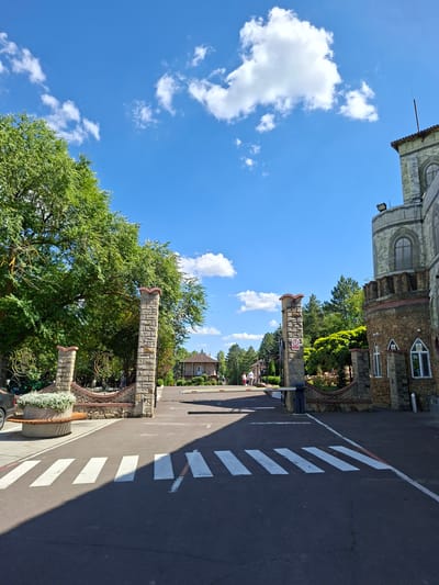 The image depicts an entrance to a facility resembling a castle. In the foreground, a pedestrian crossing is marked on an asphalt road. Flanking the road are two stone pillars, part of a decorative gate. To the left, a large, mature tree with lush green foliage dominates the scene. To the right, a portion of a building with stone and stucco construction, reminiscent of a castle tower, is visible. Beyond the gate, the road continues towards buildings and more trees under a bright blue sky with scattered white clouds. The overall impression is a sunny day at a recreational or themed venue.