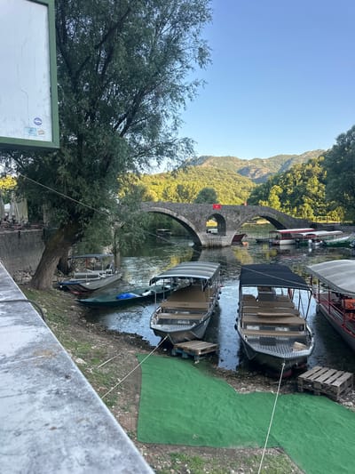 The image depicts a scenic view of the Rijeka Crnojevića river in Montenegro. In the foreground, several tour boats are docked along the muddy bank, with some resting on wooden pallets. Two of these boats, with their awnings up, appear to be larger passenger vessels. A smaller green boat is moored to the left, and a silvery motorboat is also present near the tree.
The middle ground is dominated by a stone arch bridge spanning the river, with several more boats visible beneath its arches. A red flag is affixed to the top of the bridge. The water is calm and reflects the clear blue sky.
The background features lush green, rolling hills covered in trees, indicating a natural, possibly mountainous, environment. The lighting suggests it is either early morning or late afternoon, with a soft, warm glow illuminating the scene. A large tree with dense foliage shades part of the left bank. On the far left, a tall, white sign with a green frame is partially visible.