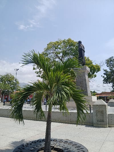 The image depicts a sunny outdoor scene within a public plaza in San Joaquín, Venezuela. In the foreground, a slender palm tree with vibrant green, spiky fronds stands centrally, its base surrounded by a circular, dark-colored metal grate featuring an ornate pattern. The ground is paved with light-grey, square or rectangular pavers.
To the right and slightly behind the palm tree, a prominent light-grey stone monument rises, topped by a dark-colored statue. The statue portrays a standing human figure, cloaked in draped robes, viewed primarily from its rear-right aspect, facing away from the camera. The monument includes additional matching stone structures, possibly low walls or benches, extending to its right.
In the mid-ground and background, lush green trees with dense foliage are visible, particularly behind the monument and extending across the upper portion of the frame. On the far left, several individuals are discernible, some appearing to wear dark blue uniforms, near structures with reddish roofs. A street light pole is also visible on the left. Distant, hazy mountains are faintly visible on the horizon, beneath a clear, pale blue sky with sparse white clouds.