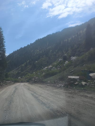 A wide shot depicts a rugged mountainous landscape, likely a valley or mountain pass, in Grigor'yevka, Kyrgyzstan. In the foreground, a broad, unpaved dirt and gravel road stretches forward, showing visible tire tracks and appearing somewhat dusty. Large rocks and boulders are scattered along the edges of the road.
The left side of the frame features the dense foliage of a tall coniferous tree, partially cropped. On both sides of the road, steep mountain slopes rise, covered extensively with dark green coniferous forests. Amidst the lower sections of these slopes, patches of lighter green vegetation and numerous white-flowering bushes or small trees are visible, suggesting spring or early summer.
In the mid-ground on the right, a small, blue, shack-like structure is nestled among rocks and vegetation. Overhead, utility poles and power lines extend across the scene. A yellow triangular road sign, indicating a winding or S-curve, stands on the right side of the road.
The sky above is bright blue with scattered white cumulus clouds. The lighting suggests clear daylight, possibly morning or early afternoon, with a slight haze in the atmosphere. There are no people visible, and the scene conveys a sense of a journey through a remote, natural environment.