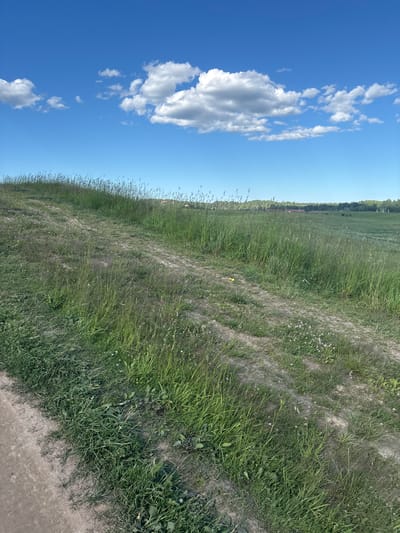 An outdoor shot shows a landscape with a dirt path winding through tall grass under a blue sky with white clouds. In the distance, there are buildings and trees. The scene is located in the village of Khirvosti, Russia.