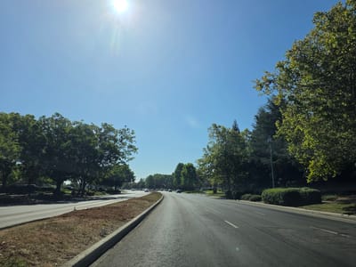 A wide, asphalt road curves gently to the right, leading into the distance under a clear, bright blue sky. The sun is high and bright in the upper left quadrant, casting lens flares and a strong glare. Lush green trees line both sides of the road, their leaves illuminated by the sunlight. On the left side, a strip of dry, brown grass and dirt with a concrete curb borders the road, with more trees and manicured bushes beyond. On the right, the trees are denser and form a backdrop to neatly trimmed hedges and a lamppost. Several cars are visible on the road ahead, traveling in the same direction as the viewer. The scene suggests a sunny day in a suburban or semi-rural area. The location is identified as Elk Grove, United States of America. There is no visible text.