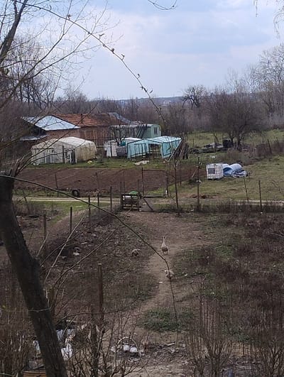 This image, taken in Dolno Linevo, Bulgaria, depicts a semi-rural, outdoor scene, likely a residential property or smallholding, under an overcast sky. The foreground is partially obscured by the bare branches of a large tree on the left and smaller branches extending across the top. The ground in the foreground consists of dry vegetation, dirt, and scattered debris.
In the midground, a dirt path traverses the scene from the lower right towards the middle left. Three domestic geese are visible on or near this path: one large white goose stands upright, facing left, while two smaller, brownish geese are positioned to its left, appearing to forage. A rudimentary fence, constructed from posts and wire, delineates sections of the property. Directly behind the path is an area of tilled brown earth, indicating a cultivated garden plot. Various structures are present, including a white, semi-translucent plastic or fabric-covered hoop house/greenhouse and a teal-colored, metal-framed structure, likely another greenhouse or shed. Further right, a white utility structure and bundled materials are visible on the ground.
The background features several buildings: a prominent reddish-brown brick structure with a tiled roof, and an adjacent building with a corrugated metal roof. Other smaller sheds and outbuildings are scattered amongst bare deciduous trees. Beyond these structures and trees, a distant, faint urban or town silhouette is discernible against the pale, cloudy sky. No human figures are present.