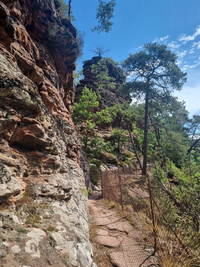 This image captures a scenic hiking trail winding alongside a towering, reddish-brown rock formation on the left. The path is paved with flat stones and bordered by a rustic, wire mesh fence on the right. Lush green trees and sparse vegetation grow on and around the rocks, with a prominent pine tree arching over the path. In the background, more rocky outcrops and dense foliage are visible under a bright blue sky dotted with white clouds. This scene is located in the Dahner Felsenland, a popular hiking region near the town of Dahn in Germany, known for its unique sandstone rock formations.
