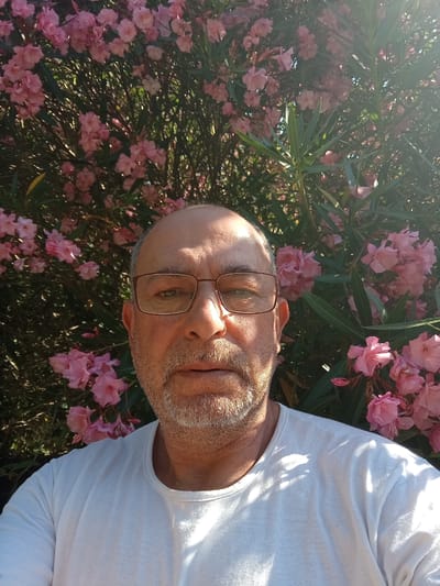 A close-up selfie of a Caucasian man with a bald head, grey stubble, and glasses, wearing a white t-shirt, is taken outdoors in front of a dense bush with pink oleander flowers. The man is looking at the camera, and the sunlight casts shadows on his face and shirt. The background is filled with lush green leaves and vibrant pink flowers, suggesting a garden or a park setting. The image does not provide any information about the location in the city of Brenna, Italy.
