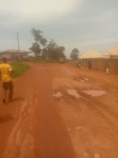 The image depicts a dirt road in Mayo Ndaga, Nigeria, with a few scattered buildings and trees. The road is red-brown and appears to be in disrepair, with several large puddles of water indicating recent rain. The sky is overcast, suggesting a cloudy or humid day.
In the foreground, a person wearing a yellow t-shirt and dark trousers walks away from the camera down the road. Further down the road, a few other individuals are visible, including a person in a dark garment walking away from a building and another person in a yellow skirt walking past a brick wall. There are also glimpses of a yellow vehicle and a motorcycle on the road.
The buildings in the image are simple structures with corrugated metal or tiled roofs. One building on the left has a light-colored exterior and appears to be a single-story dwelling or small shop. On the right, there are buildings with brown brick walls and light-colored roofs. The overall scene suggests a rural or semi-urban environment. The puddles on the road are a prominent detail, highlighting the potentially challenging road conditions. The time of day appears to be daytime, but the overcast sky makes it difficult to determine the exact time. No visible text is present in the image.