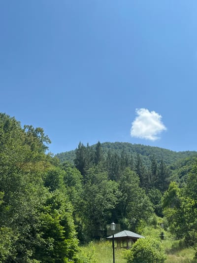 The image depicts a mountainous, vegetated landscape under a clear sky in Artavaz, Armenia. The upper portion of the frame features a bright, cloudless blue sky, with a single, isolated white cumulus cloud visible in the upper right quadrant. The central and lower sections are dominated by dense, lush green foliage, primarily trees, covering a distant hillside or mountain. Various shades of green indicate different tree species. In the mid-ground, positioned slightly right of the vertical center, a dark-colored lamppost with a white, multi-paneled lantern-style fixture stands upright. Behind and to the right of the lamppost, partially obscured by green growth, a small wooden gazebo or pavilion with a dark, possibly grey or green, pyramidal roof is situated on a slightly elevated, overgrown grassy area. No individuals or discernible activities are present. The scene is illuminated by direct sunlight, indicating daytime conditions.