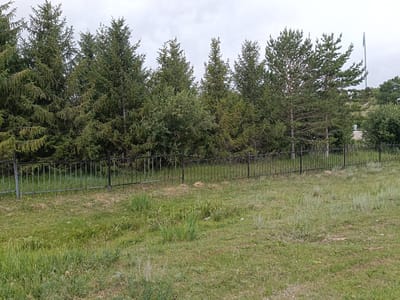 The image shows a view of a grassy area with a black metal fence in the foreground. Behind the fence, there is a dense row of evergreen trees, primarily fir trees, with some pine trees interspersed. The sky is overcast with gray clouds. To the right of the trees, a tall flagpole with a flag is visible, along with some distant trees and a building. The grass in the foreground is unevenly grown and somewhat patchy in places. There are no people visible in the image. The location is identified as the city of Saryzhas, Kazakhstan.