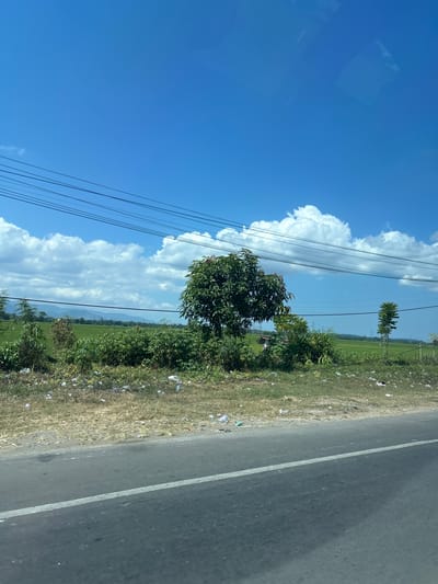 The image captures a roadside scene in Kalabbirang, Indonesia, under a clear blue sky dotted with fluffy white clouds. A paved road with a white dividing line runs through the foreground, leading the eye towards a patch of dry, grassy land cluttered with white and translucent plastic debris. Beyond this, a vibrant green rice paddy stretches out, bordered by lush vegetation and scattered trees. In the mid-ground, a medium-sized tree with dark green foliage stands prominently. In the distance, a range of mountains forms a hazy blue backdrop against the horizon. Several electrical wires are strung across the top of the frame, supported by unseen poles. The overall impression is of a rural landscape, likely a roadside view from a moving vehicle, with evidence of human presence in the form of the road, wires, and discarded litter.