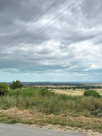 A panoramic view of a rural landscape near Kosharitsa, Bulgaria, is captured under a cloudy sky. In the foreground, a section of an asphalt road is visible on the left, bordered by overgrown grass and dry vegetation. Behind this, a dense patch of greenery rises, transitioning into a field of golden-yellow crops that stretches towards the horizon. Scattered trees and shrubs dot this middle ground. In the far distance, a city skyline with buildings can be seen, situated between the fields and a faint mountain range under the hazy sky. Three power lines stretch diagonally across the upper portion of the image, bisecting the frame. The overall scene depicts a tranquil, agrarian environment on a day with overcast weather.