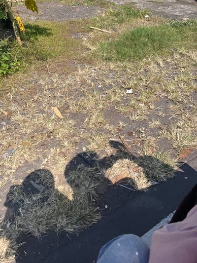 The image depicts a ground-level view of a dry, grassy area with patches of darker soil and some debris. Two distinct shadows of people are cast on the ground in the foreground, suggesting a sunny day. The shadows indicate the presence of at least two individuals, though their bodies are not directly visible in the frame. The vegetation appears mostly dry and sparse, with some areas of greener grass. The background shows more of the same terrain, with a hint of a paved surface and some scattered foliage. The overall impression is of an outdoor urban or semi-urban environment, possibly a park or an undeveloped lot. The crops confirm the presence of dry grass, soil, and shadows. There is no specific indication of Purworejo, Indonesia, within the image itself, as the scene is generic and lacks distinguishing landmarks or identifying text.