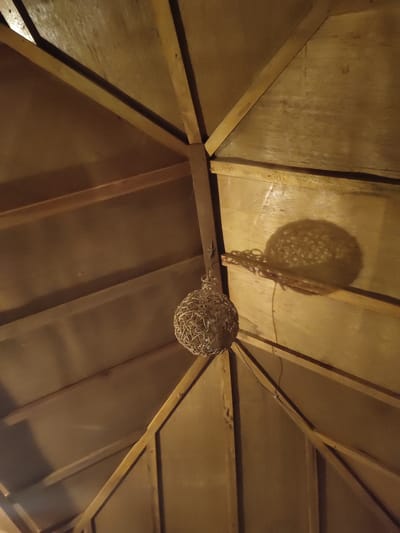 The image shows the interior of a wooden roof structure with a rustic feel. The ceiling is made of wooden planks, supported by triangular wooden beams that create a geometric pattern. Hanging from a hook on one of the beams is a spherical decorative object, possibly a lampshade or a crafting project, made of woven natural fibers. A shadow of this object, also spherical and textured, is cast on the wooden wall behind it. The lighting appears to be dim and warm, suggesting an indoor setting, possibly in the evening or a place with limited natural light. The overall impression is one of a simple, perhaps rustic or traditional, architectural space. There is no visible text in the image. The location context of Tanjongteungkuali, Indonesia, suggests a tropical or subtropical environment, which might influence the choice of natural materials for the ceiling and decoration.