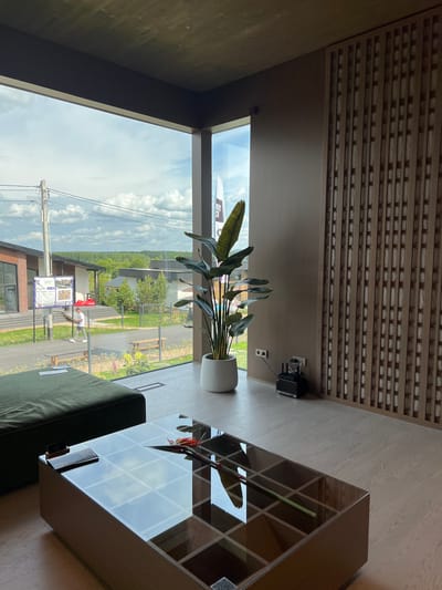 A high-angle interior shot captures a contemporary living space with a large window offering a view of a suburban landscape in Yakunino, Russia. The room features a dark green ottoman on the left, a glass-topped coffee table in the foreground with a flower and a book, and a large potted plant in a white pot on the right. A wooden slatted wall design is visible on the far right. Through the window, houses, trees, a cloudy sky, and a utility pole are visible. A person walks by the houses outside, and a signpost stands near the entrance of one of the houses. A small black speaker is placed on the floor near the plant.