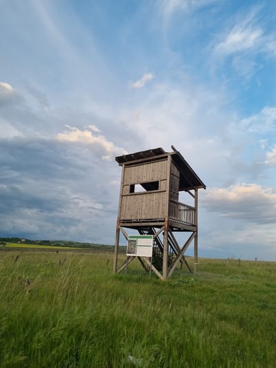 A rotated, full outdoor shot depicts a wooden, two-story lookout tower located in Aldomirovtsi, Bulgaria. The tower is situated in a field of green grass with a yellow field stretching into the distance under a sky filled with white and dark clouds. The tower is constructed of weathered wood, showing a window on the lower level and a partial railing on the upper level. A sign with information is affixed to the tower's base.