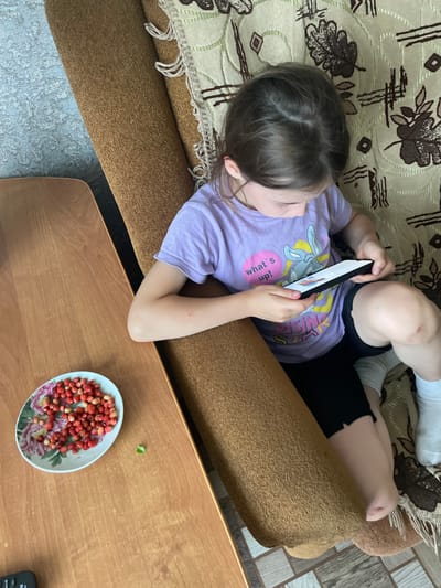 A young girl sits on a sofa, holding a smartphone. She is wearing a purple t-shirt with a cartoon character and text that reads "what's up!". She also wears black shorts and white socks. The sofa is brown and has a patterned blanket on it. To the left of the sofa, on a wooden table, is a plate of wild strawberries and a single green leaf. The flooring is a mix of grey and white tiles. The setting appears to be a residential indoor environment, possibly in Nizhnii Bugrysh, Russia, given the context provided.