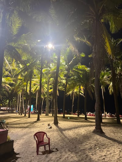 The image depicts a nighttime scene on a sandy beach, likely in Hoi An, Vietnam, characterized by a dense row of palm trees casting long shadows across the sand. A bright overhead light source illuminates the fronds of the palm trees, creating a dramatic effect against the dark night sky. In the foreground, a single red plastic chair stands empty, with a dog resting a short distance behind it. Further back, numerous other palm trees are visible, and beyond them, a gathering of people is seated at tables, suggesting an outdoor dining or social area. The overall atmosphere is serene and tropical, with the artificial lighting highlighting the natural beauty of the palm trees and the beach environment.