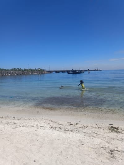 A wide shot captures a sunny day at a beach with a child playing in the water. The clear blue sky dominates the upper half of the image, with a hint of clouds near the horizon. The water is a tranquil blue-green, with the sandy bottom visible in the shallows. A child, wearing a yellow and green swimsuit, is wading in the water, splashing and seemingly enjoying themselves. Two ducks are also visible in the water nearby.

In the background, a long pier stretches across the water, with several boats moored to it. The pier is supported by pylons and leads to some industrial-looking structures in the distance. To the left of the pier, a rocky breakwater juts out into the water, with trees and some buildings lining the shore behind it. The beach itself is sandy, with some driftwood and seaweed scattered along the shore. The overall atmosphere is one of a peaceful summer day at the beach. The sun appears to be high in the sky, suggesting it's midday. There is no visible text in the image.