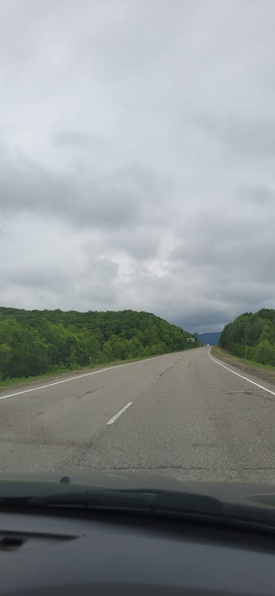 The image shows a road in the city of Zanadvorovka, Russia. The road is asphalt and has two lanes. There are green trees on both sides of the road. The sky is cloudy and gray. There are no people or vehicles visible in the image. The image appears to have been taken from inside a car.